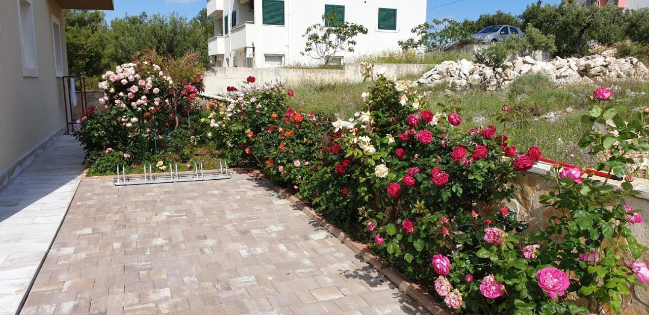 Apartment Ankora